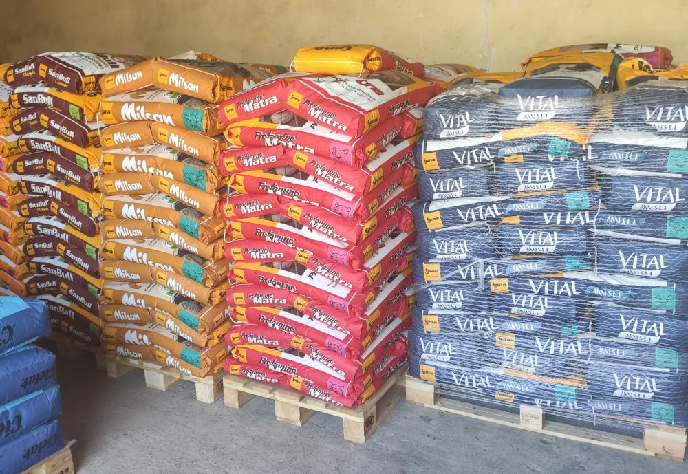 img 20230304 133431 img 20230304 133431